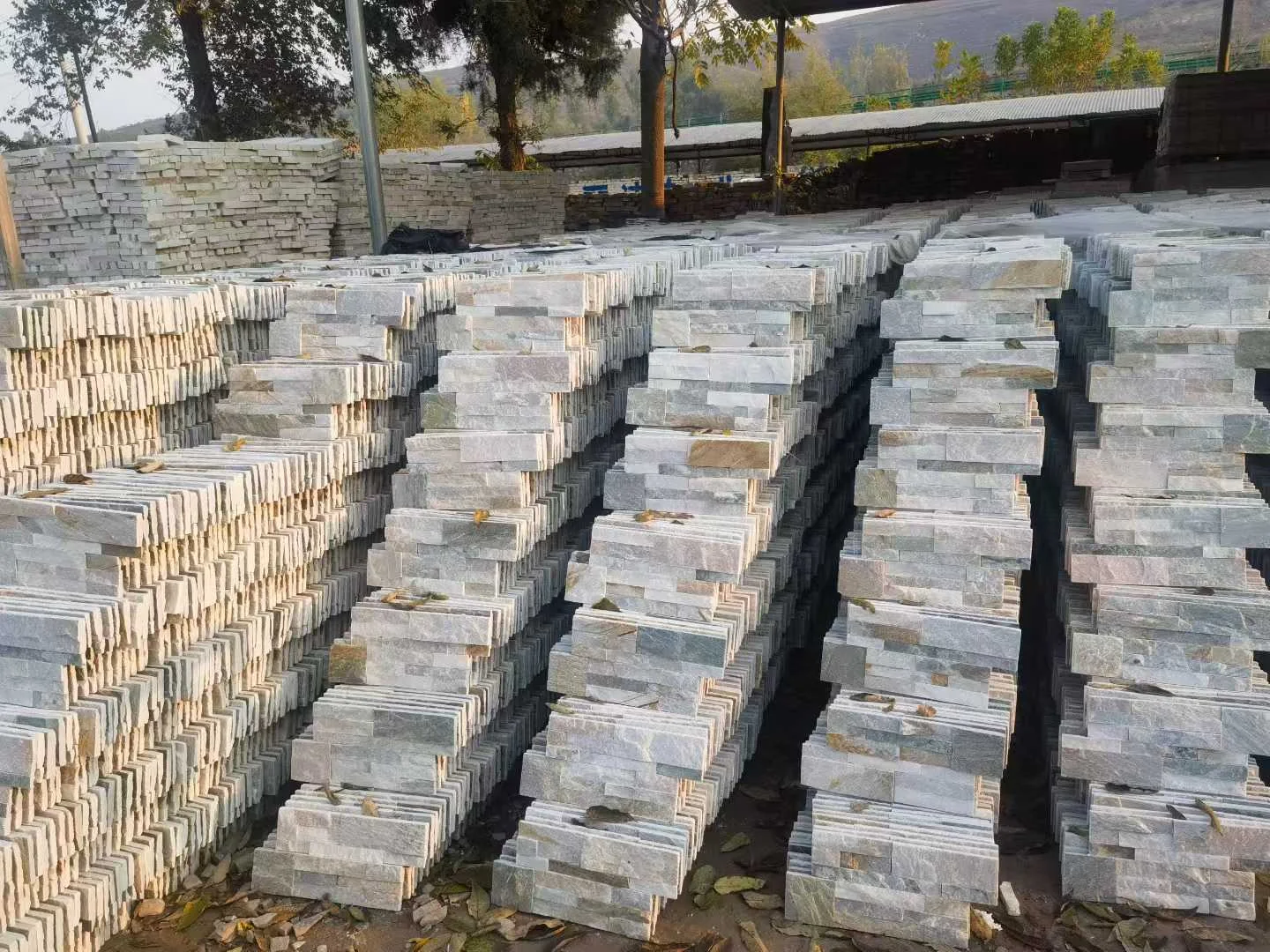 Piedra cultural - Slab View